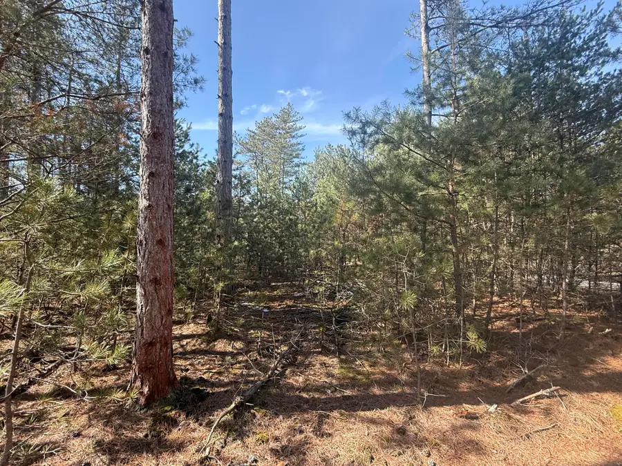 V/L W Pine Acres Trail, Hart, MI 49420 - Image #3