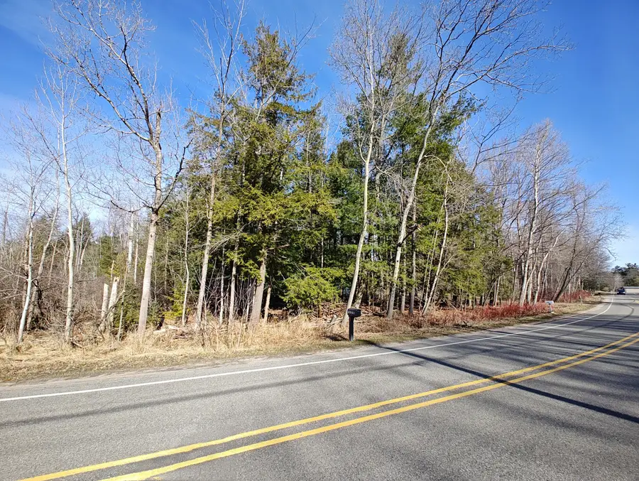 VL W Lake Mitchell Drive, Cadillac, MI 49601 - Image #2