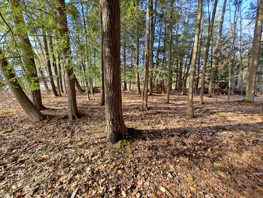 VL W Lake Mitchell Drive, Cadillac, MI 49601 - Image #3