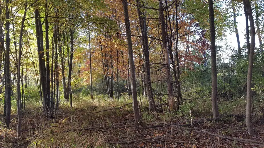 856 Greystone Drive, Chelsea, MI 48118 - Image #2