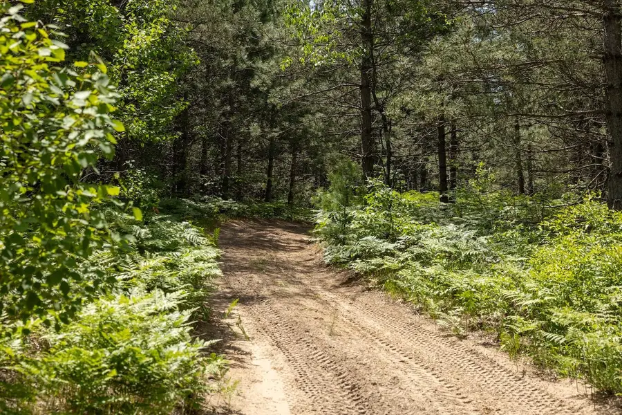 00 V/L 13 Mile Road #Par E, Bitely, MI 49309 - Image #2