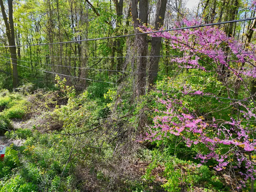 VL Ellen Road, Dowagiac, MI 49047 - Image #3