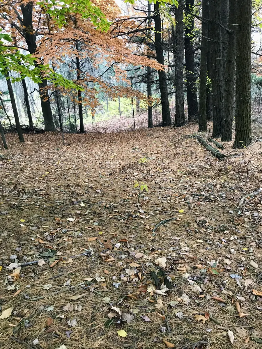 17078 Lake Michigan Drive, West Olive, MI 49460 - Image #3