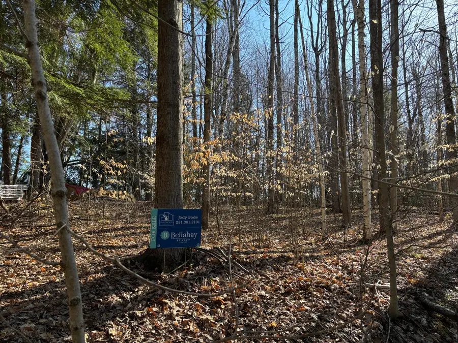 VL Lot 811 Miramichi Drive, Evart, MI 49631 - Image #2