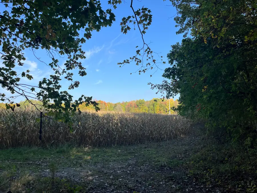 W St Joseph Street, Lawrence, MI 49064 - Image #2