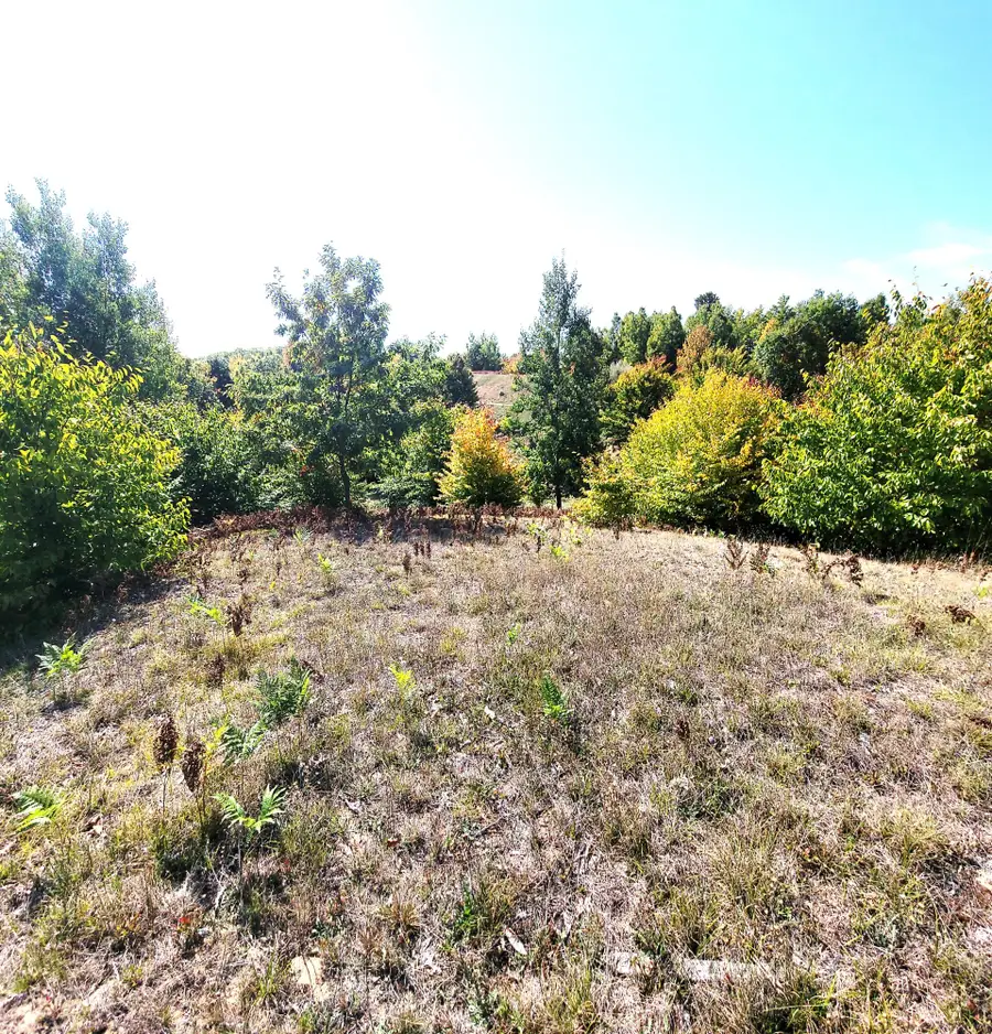 Eagle Ridge Circle #Lot 102, Onekama, MI 49675 - Image #3