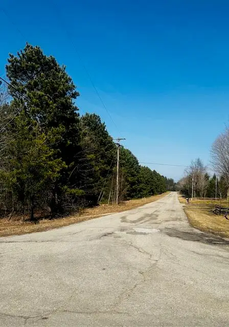 Twelfth Street, Bear Lake, MI 49614 - #2