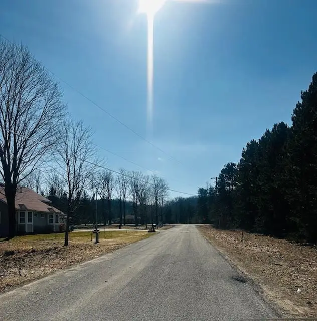 Twelfth Street, Bear Lake, MI 49614 - #3