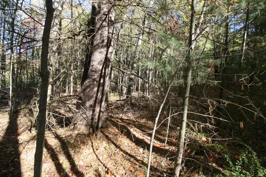 B.1 111th Avenue, South Haven, MI 49090 - Image #3