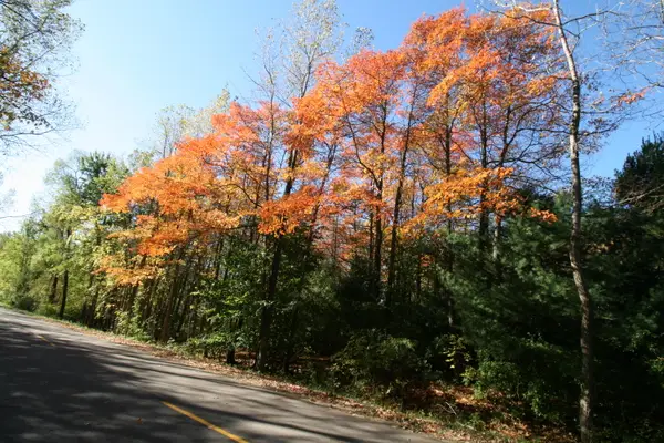 C.3 70th Street, South Haven, MI 49090