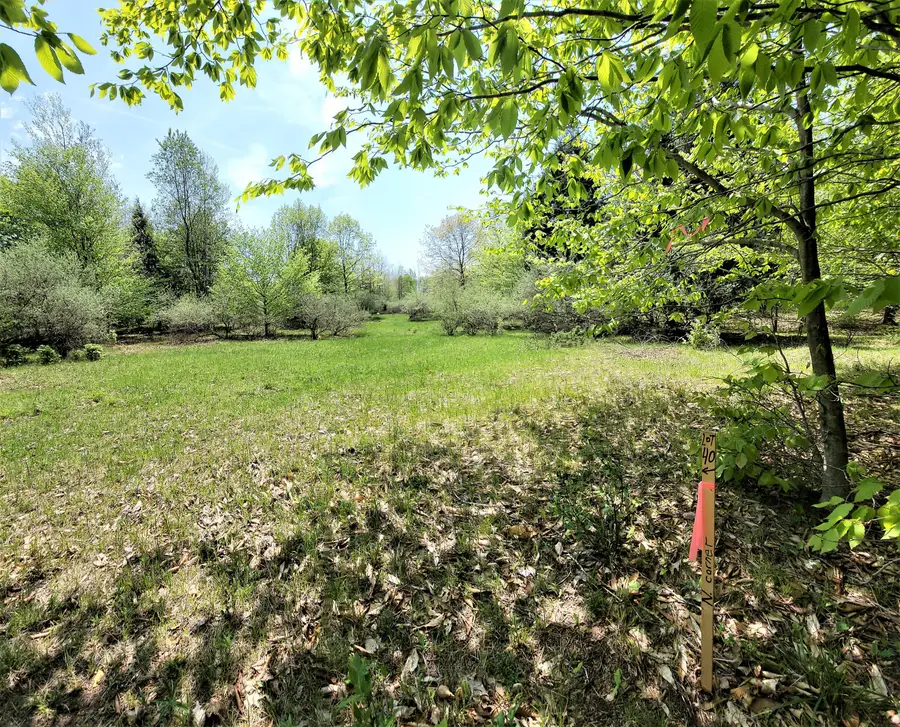 Smith Road #Lot 40, Onekama, MI 49675 - Image #3