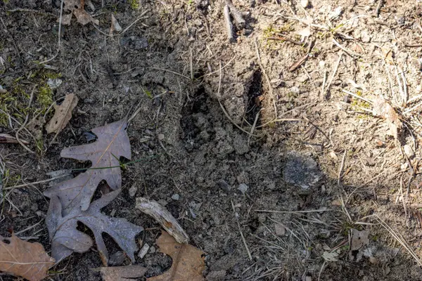 D 14714 Myers Lake Avenue Ne, Cedar Springs, MI 49319