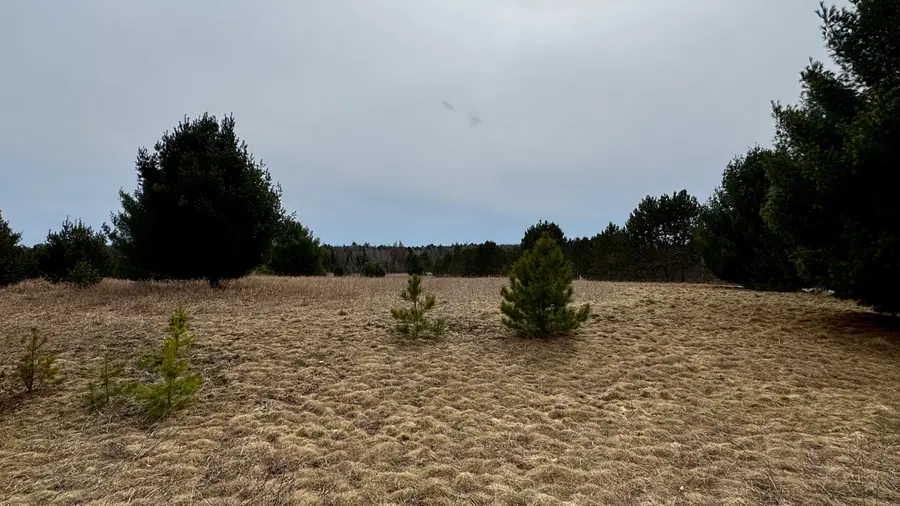 Lot #25 Wedgewood Court, Cadillac, MI 49601 - Image #3