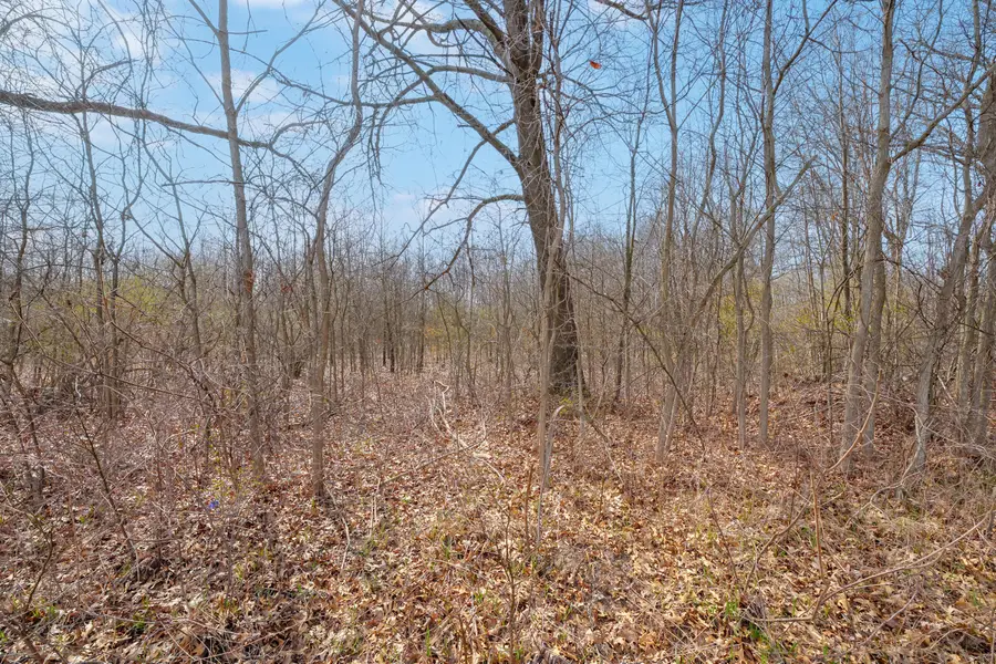 3 1/2 Mile Road, Athens, MI 49011 - Image #3