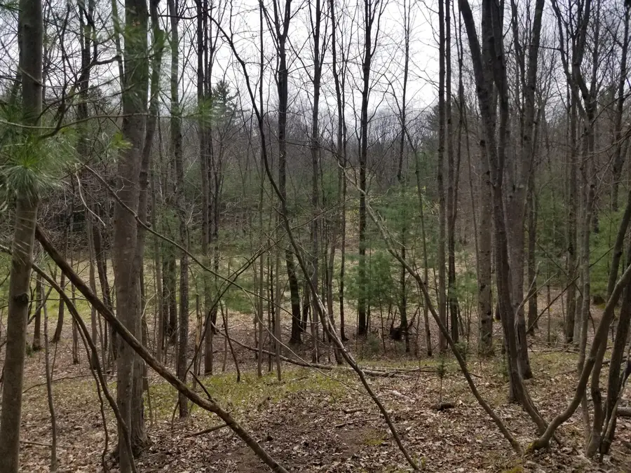 Par 15 W 12 Mile Road, Irons, MI 49644 - Image #2