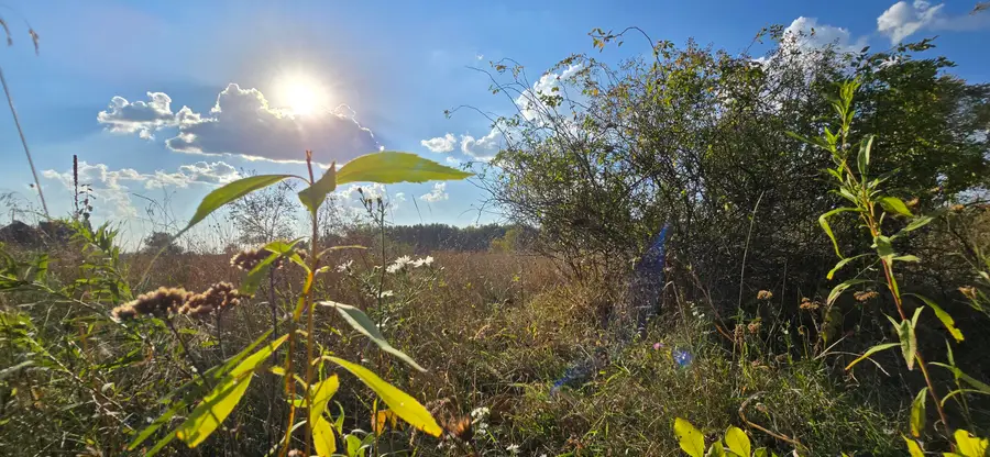 8692 E Baseline Road, Mount Pleasant, MI 48858 - Image #3