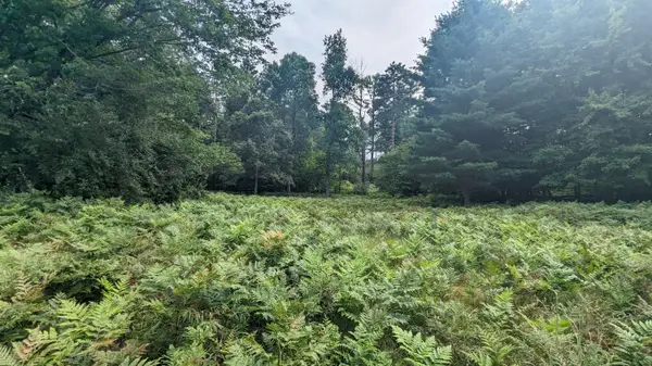 V/L Meadowview Trail #167, Custer, MI 49405