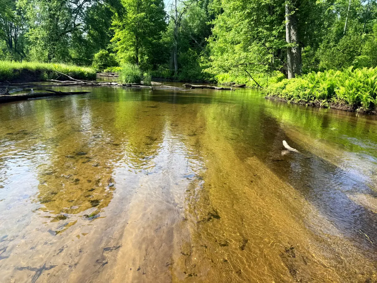 17639 N 20th Avenue, Marion, MI 49665 - Image #1