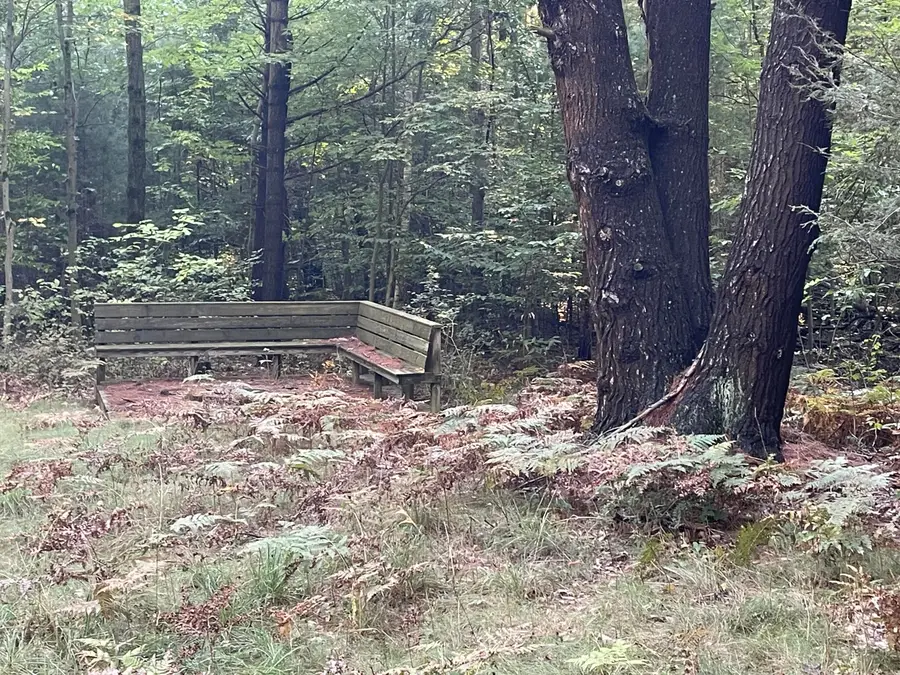 10445 W Woodrow Road, Shelby, MI 49455 - Image #3