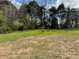 14605 Apple Ave, Casnovia Township, MI 49318 - Image #3