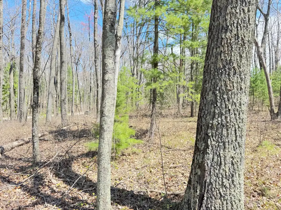 0 W Franklin Street, Bitely, MI 49309 - Image #3