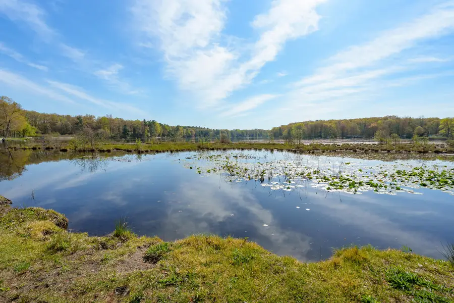 11131 Co Rd 215, Grand Junction, MI 49056 - Image #3