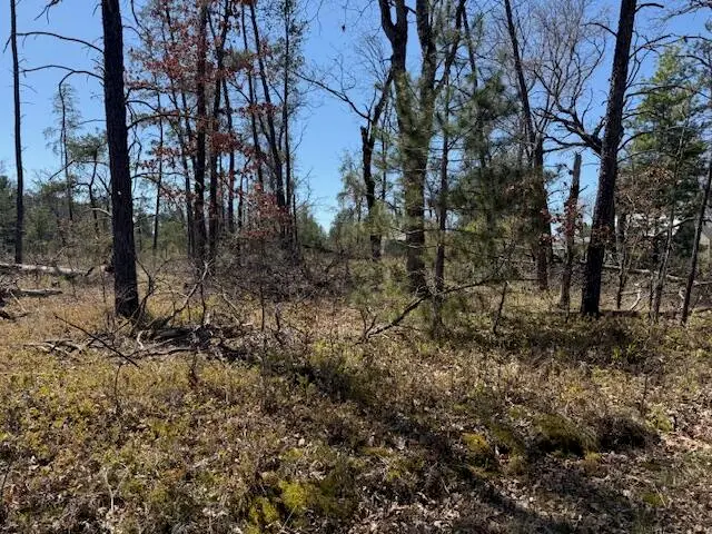 VL Prarie Road, Idlewild, MI 49642 - #2