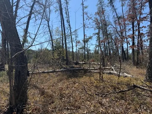 VL Prarie Road, Idlewild, MI 49642 - #3