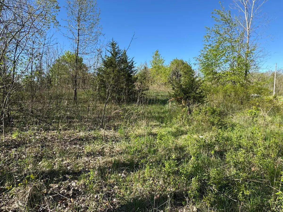 Lot C Stoney Lane, Eaton Rapids, MI 48827 - Image #1