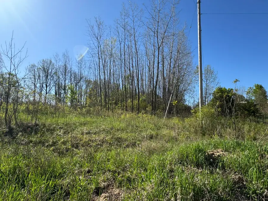 Lot C Stoney Lane, Eaton Rapids, MI 48827 - Image #2