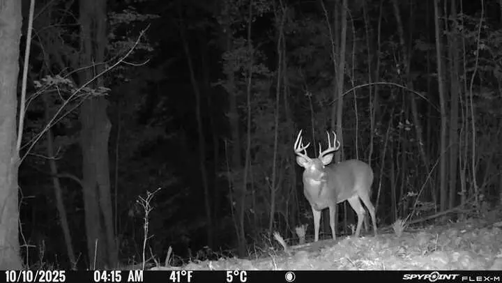 40 Acres +/- 150th Avenue, Leroy, MI 49655 - Image #2