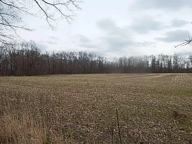 4600 11 Mile Road, Burlington, MI 49029 - Image #3