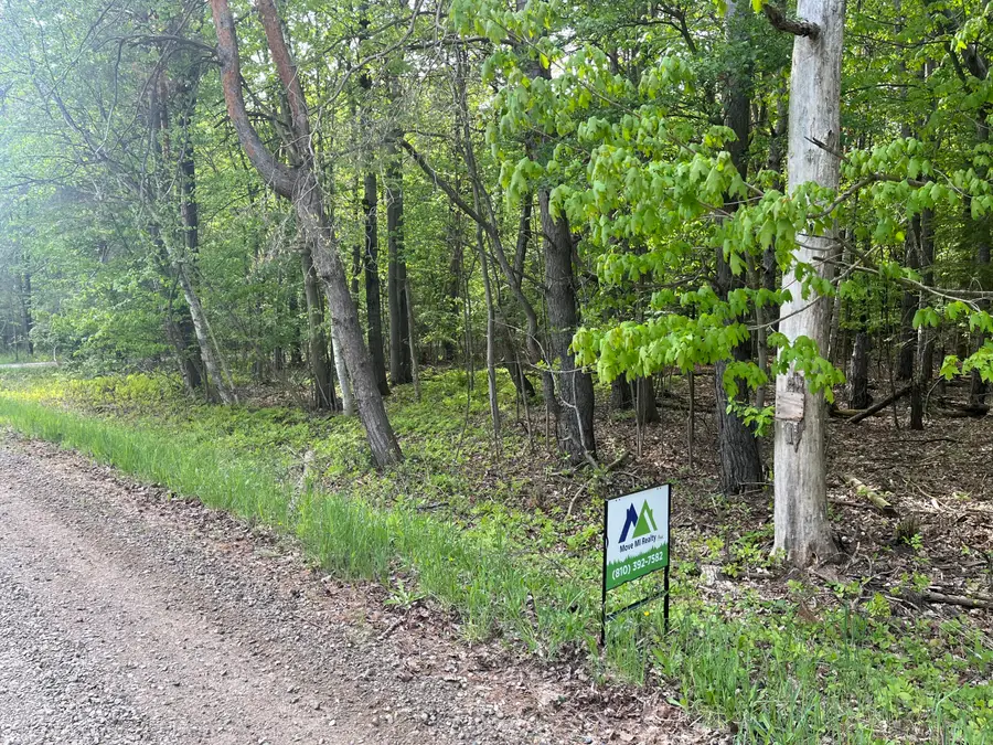 Mortimer Line Road, Croswell, MI 48422 - Image #2