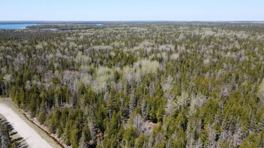 V/L 118A S Cream City Point Road, Drummond Island, MI 49726 - Image #3