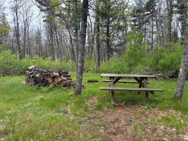 6986 W Baldwin Road, Baldwin, MI 49304