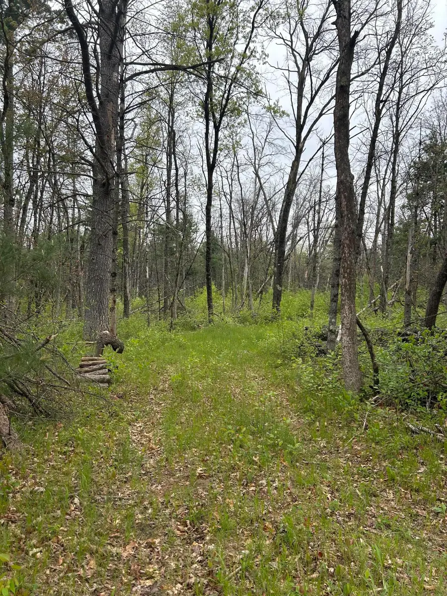 6986 W Baldwin Road, Baldwin, MI 49304 - Image #2