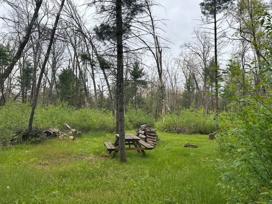 6986 W Baldwin Road, Baldwin, MI 49304 - Image #3