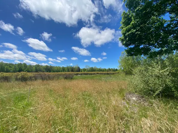 62nd Street, Grand Junction, MI 49056