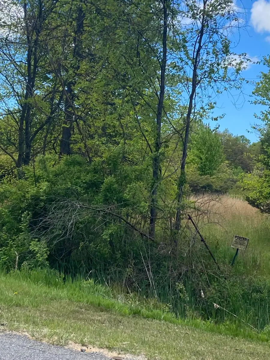 62nd Street, Grand Junction, MI 49056 - Image #2