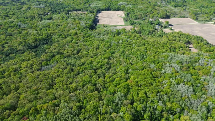 4160 E Winter Road, Walkerville, MI 49459 - Image #3