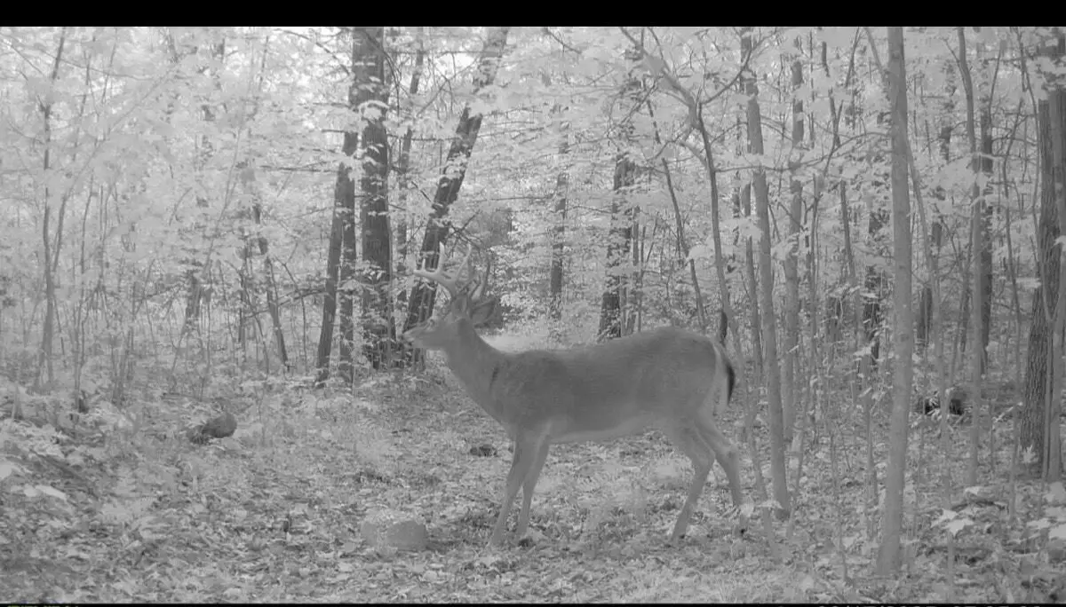 22903 Waterwheel Drive, Pierson, MI 49339 - Image #1