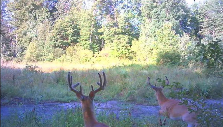 0 37th Street, Gobles, MI 49055 - Image #3