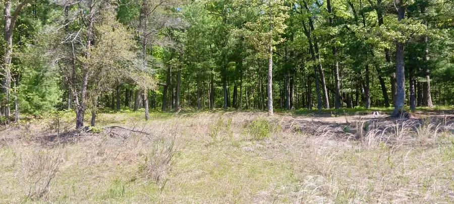 VL E Pine Avenue, Twin Lake, MI 49457 - Image #2