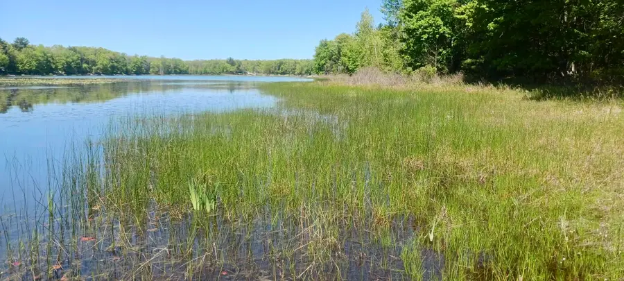 VL E Pine Avenue, Twin Lake, MI 49457 - Image #3