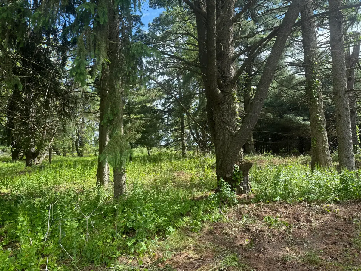 VL - LOT A Rawson Lane, Vicksburg, MI 49097 - Image #1