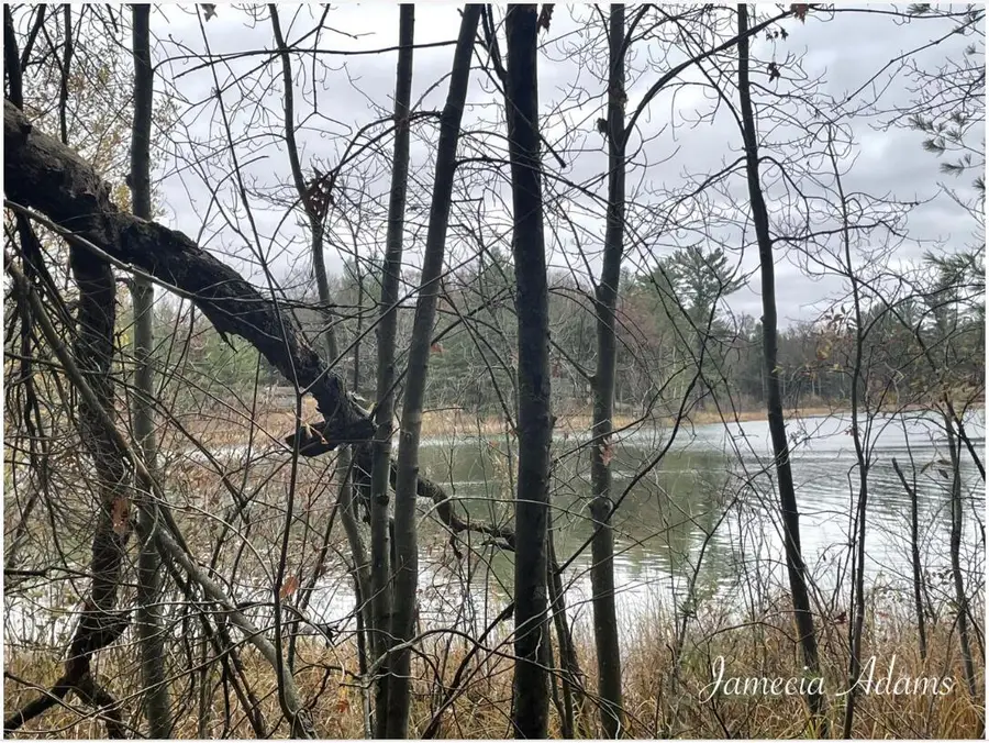 01 S Paris, Idlewild, MI 49642 - Image #3