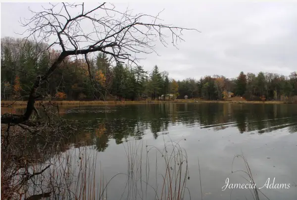 02 S Paris, Idlewild, MI 49642