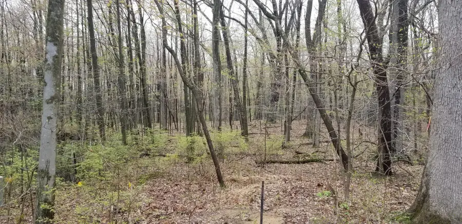 36200 Maier Street, Gobles, MI 49055 - Image #3