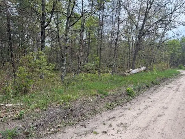 VL Mt. Vernon Avenue, Idlewild, MI 49642 - #1