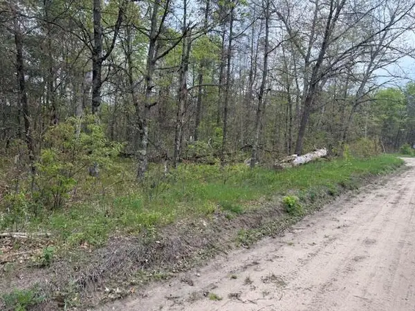 VL Mt. Vernon Avenue, Idlewild, MI 49642